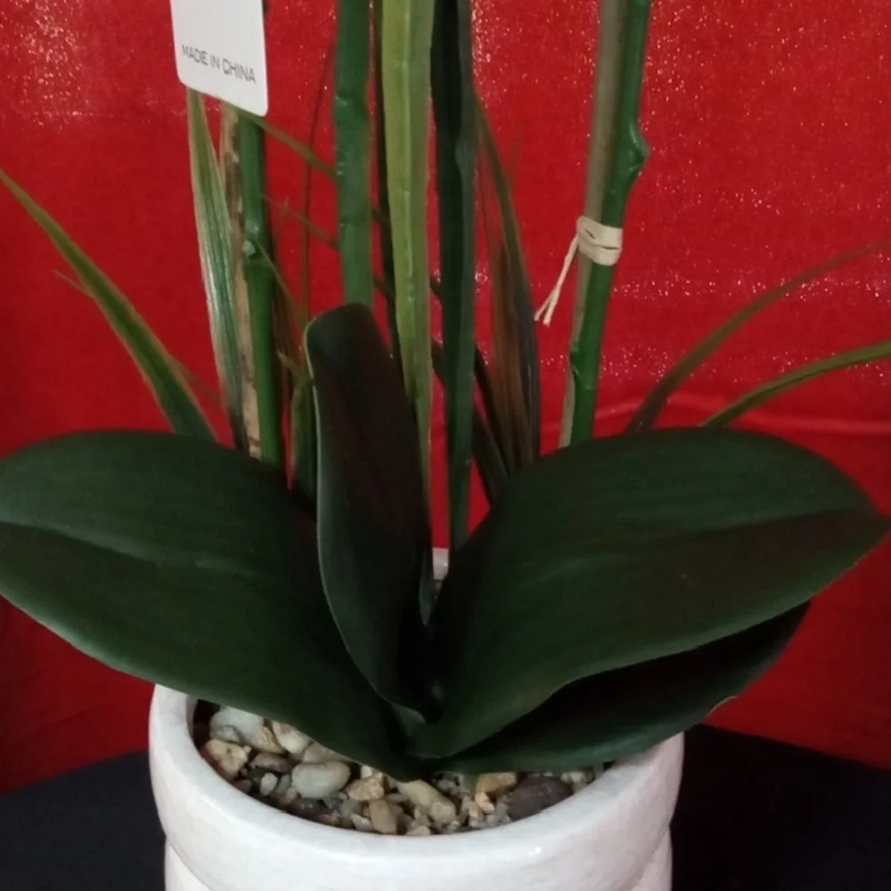N/A arrangement fresh